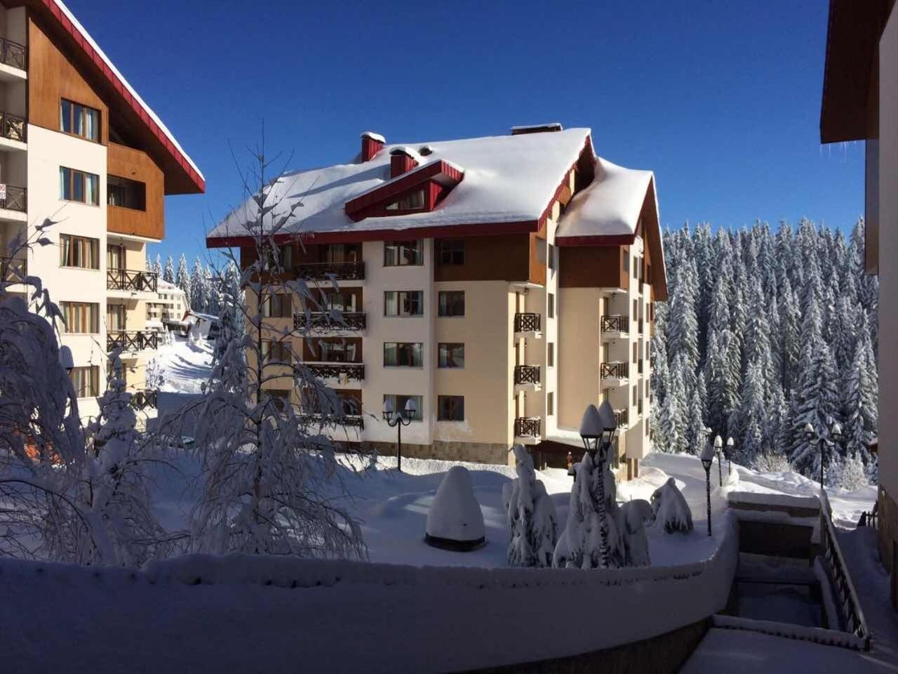 Lhapartment! Pamporovo Dış mekan fotoğraf