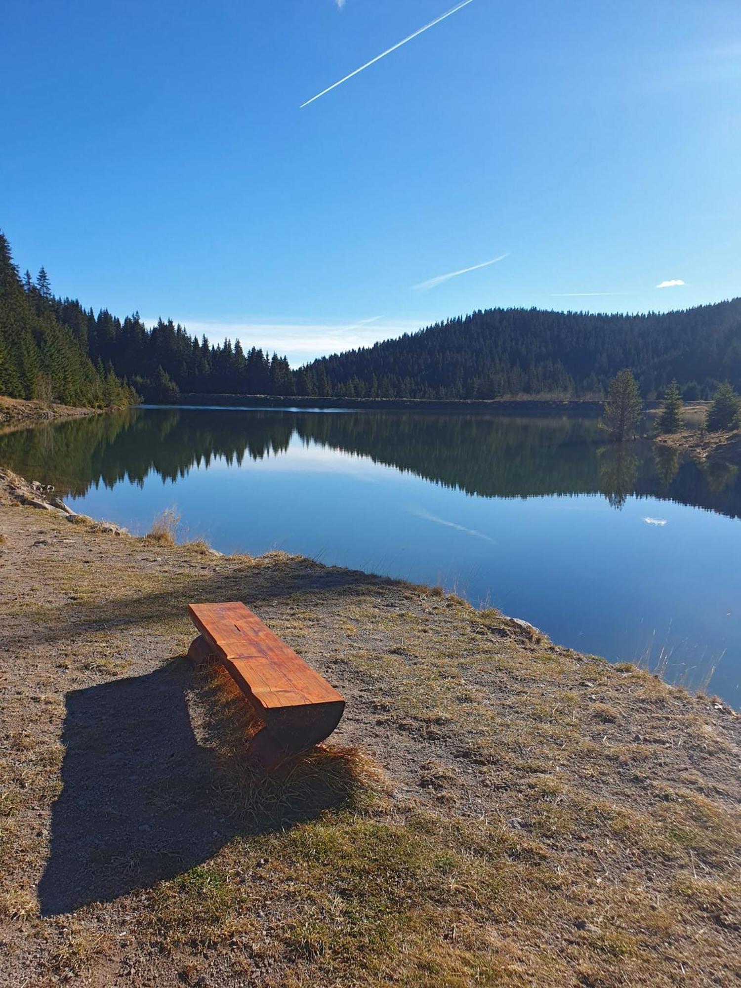 Lhapartment! Pamporovo Dış mekan fotoğraf